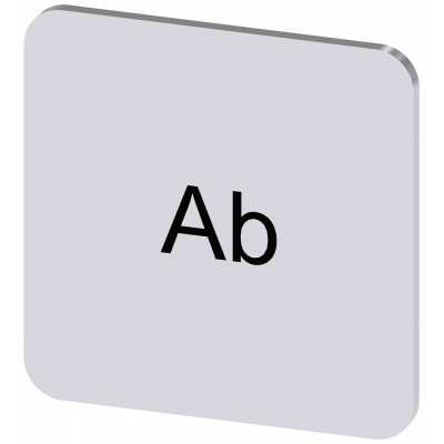 Labeling plate 22x22 mm, silver-colored label, labeling: Ab. 3SU19000AF810AE0