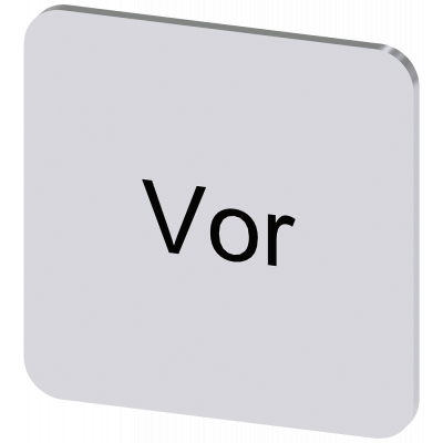 Labeling plate 22x22 mm, silver-colored label, labeling: Vor. 3SU19000AF810AF0