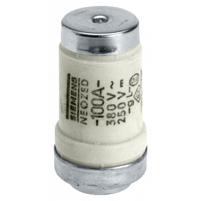 NEOZED fuse link 400 V gG, size D03, 100 A. 5SE2300