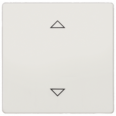DELTA i-system, titanium white_x000D_ Taste SYS Jalousie, 55 x 55 mm.. 5TC1321