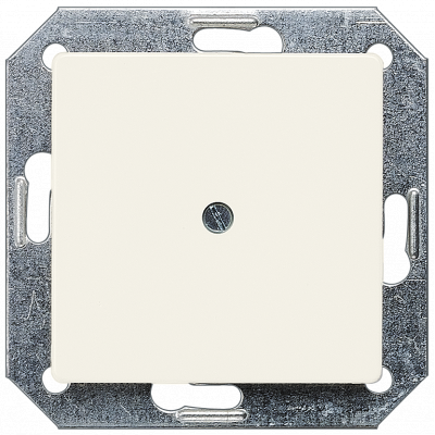 DELTA i-system, titanium white blanking plate, 55x 55 mm. 5TG2558