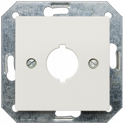 DELTA i-system, electric white cover plate 55 x 55 mm for built-in command devices.. 5TG2597