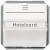 DELTA i-system hotel card switch, illuminated, titanium white, 55x 55 mm. 5TG4820