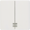 DELTA i-system, titanium white rocker with window for two-circuit/double two-way switch.. 5TG6204