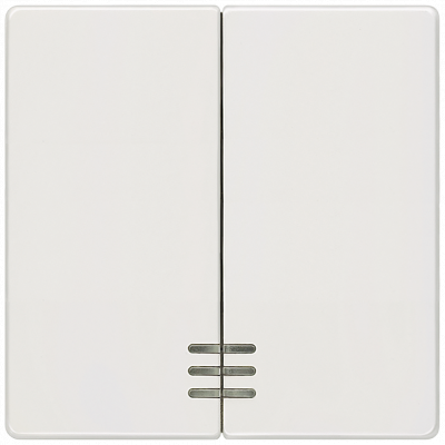 DELTA i-system, titanium white rocker with window for two-circuit/double two-way switch.. 5TG6204