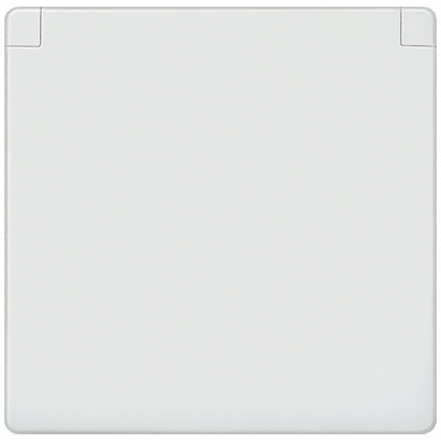 DELTA i-system, titanium white cover plate with hinged lid 55 x 55 mm for SCHUKO.. 5UH1204